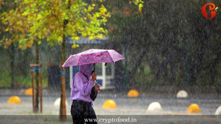 5 Simple Health Tips For Monsoon! Follow these health tips for monsoon. Monsoons offer a respite from the heat, but they also bring a host of health problems.