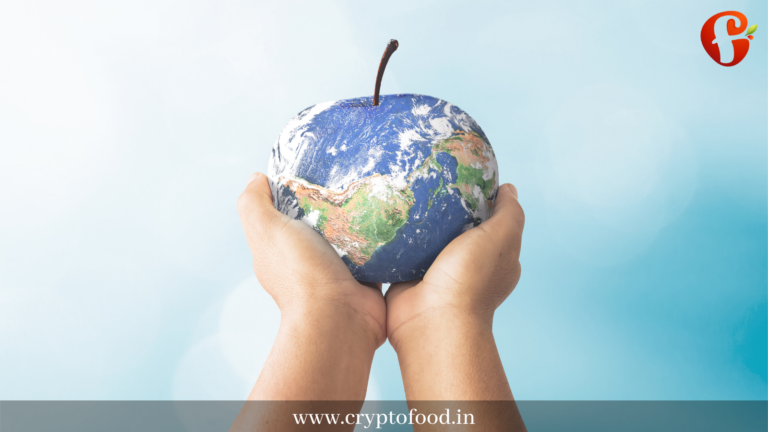 5 Best Countries For Food: A Travel Guide for Foodies World's best food: which country? These are the world's best food, according to our research. We have covered everything.