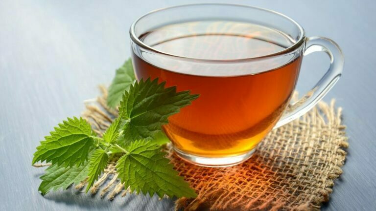 With thousands of herbal tea come thousands of different flavors and benefits. While some herbs taste better in blends.