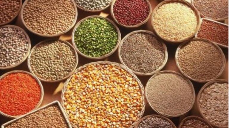 Millets are much more adaptable and may be used in a wider variety of meals than quinoa. Why wait?