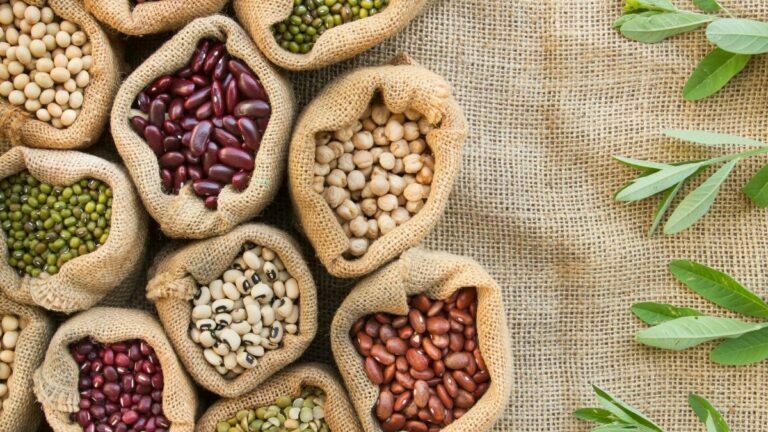 Beans and legumes provide protein, fiber, & antioxidants. Here are the 8 health benefits of beans and legumes help you to add into your diet.