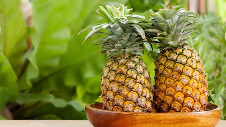 Is Pineapple Good for Weight Loss? Find Out Pineapples contain a type of fiber called bromelain, which is known to reduce inflammation and aid weight loss in the body.