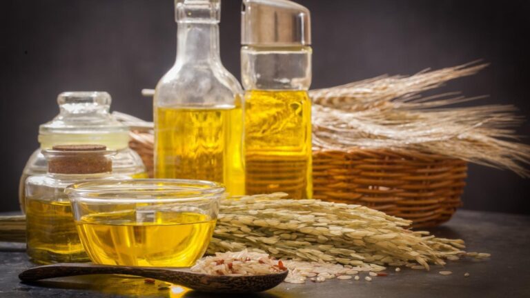 Wheat Germ Oil: The Vegetable Oil With Ample Of Benefits Wheat germ oil is one of the many beneficial oils that are sold in supermarkets, and it has recently gained popularity.